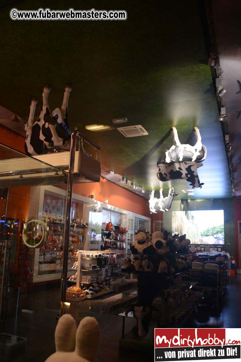 Saturday Night in Amsterdam