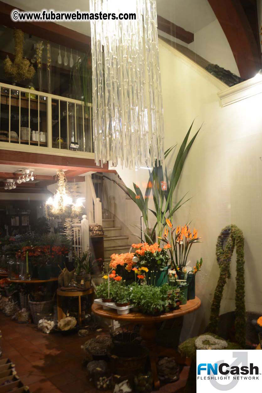 Saturday Night in Amsterdam