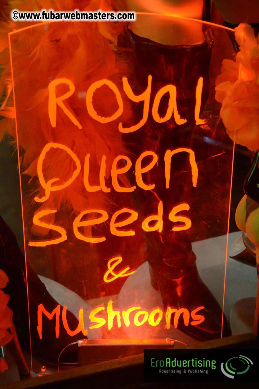 Amsterdam on Sunday Night