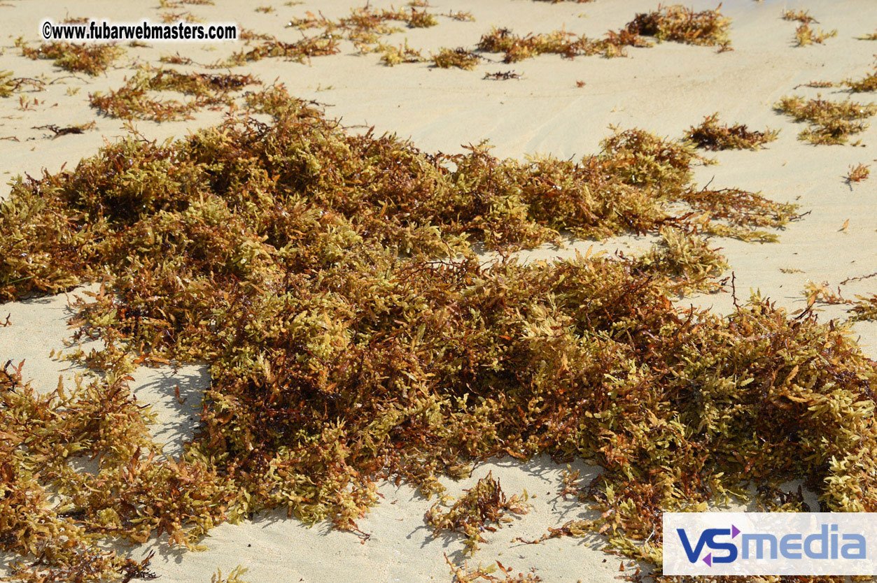 Pictures from around Breathless