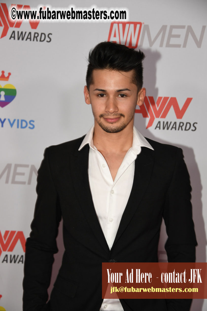 2019 GayVN Awards Red Carpet