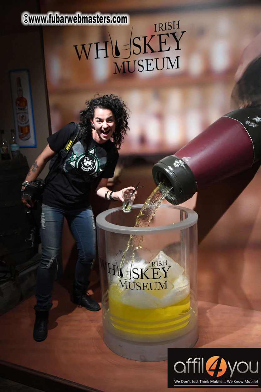 Irish Whiskey Tour