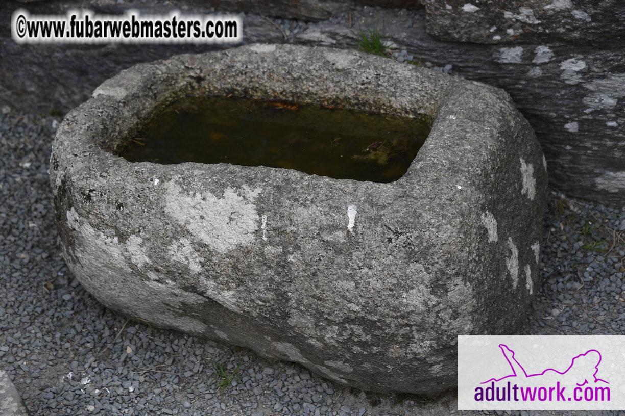  Wicklow Mountains & Glendalough Tour