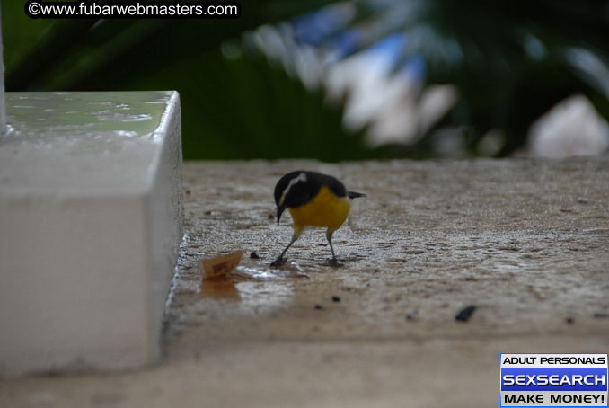 Thursday, Oct 12, 2006