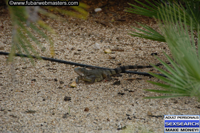 Thursday, Oct 12, 2006