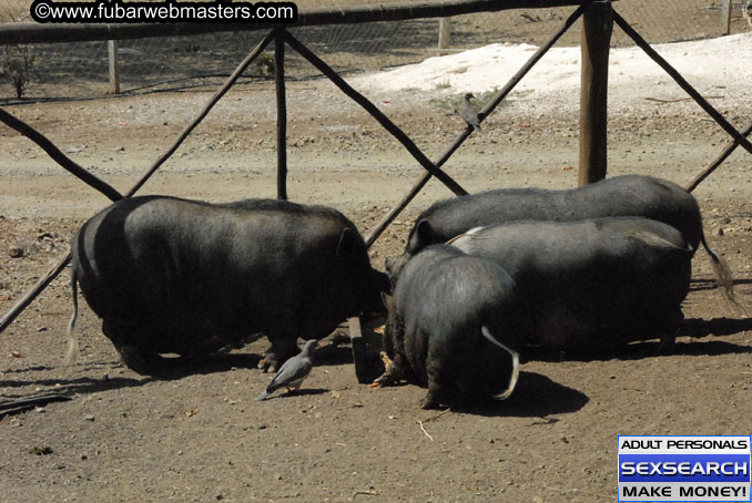 Saturday, Oct 14, 2006