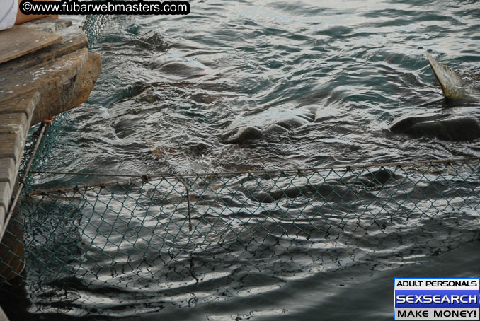 Saturday, Oct 14, 2006