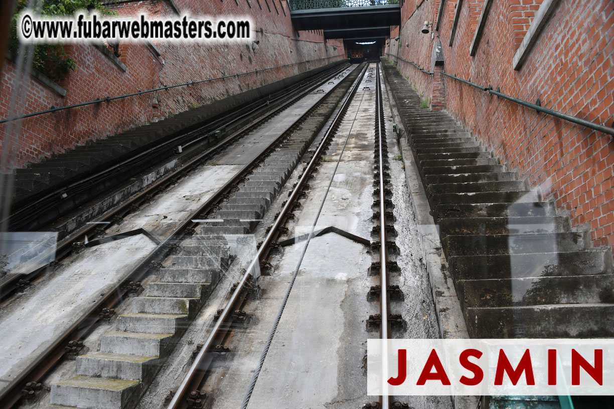 City Sightseeing and Lunch @ Halasz Bastya 