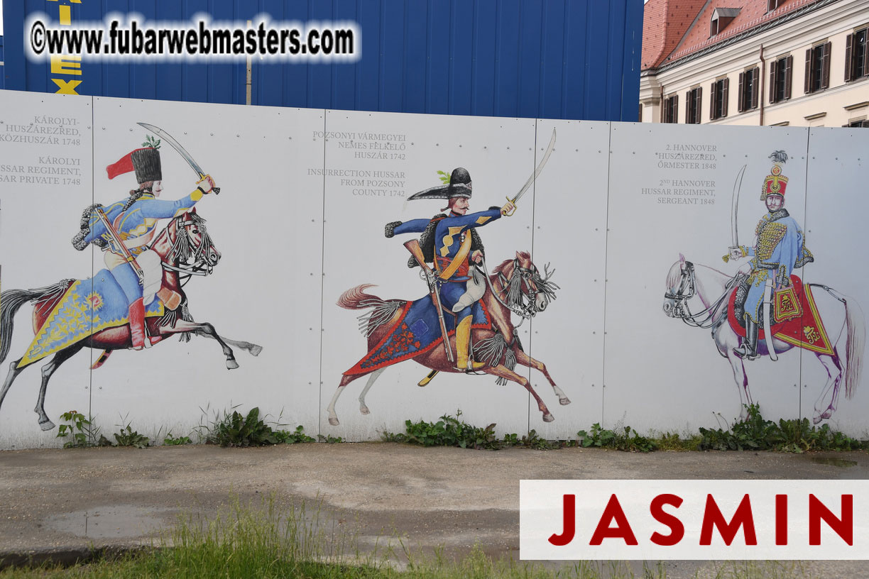 City Sightseeing and Lunch @ Halasz Bastya 