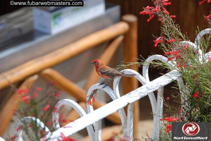 Thursday Poolside Happy Hour
