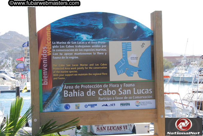 Friday Poolside Happy Hour