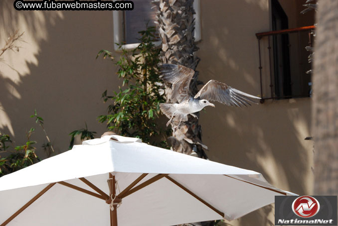 Saturday Poolside Happy Hour