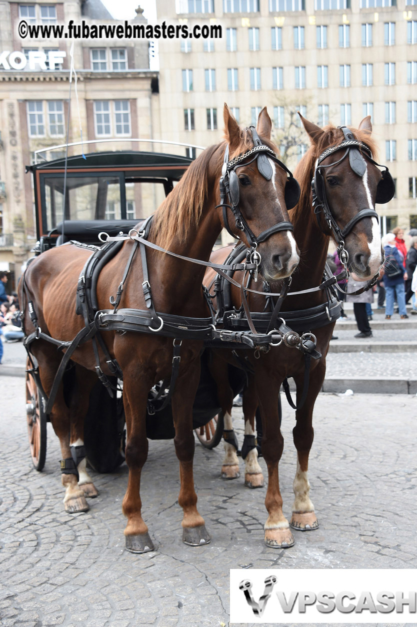 Kings Night with 2 Queens