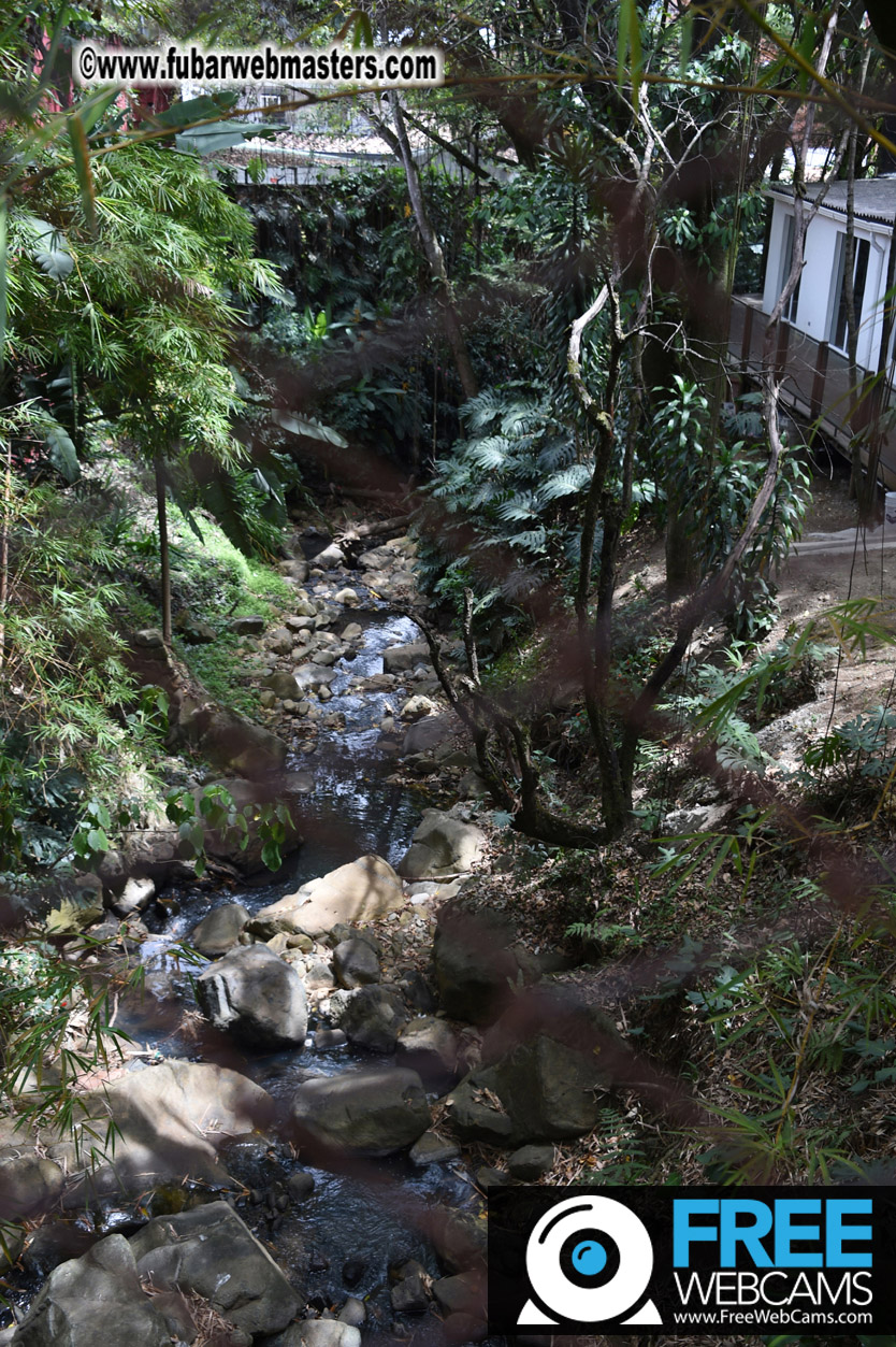 Medellin