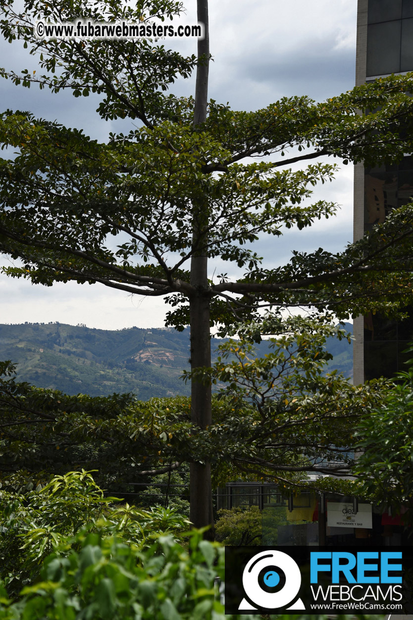 Medellin