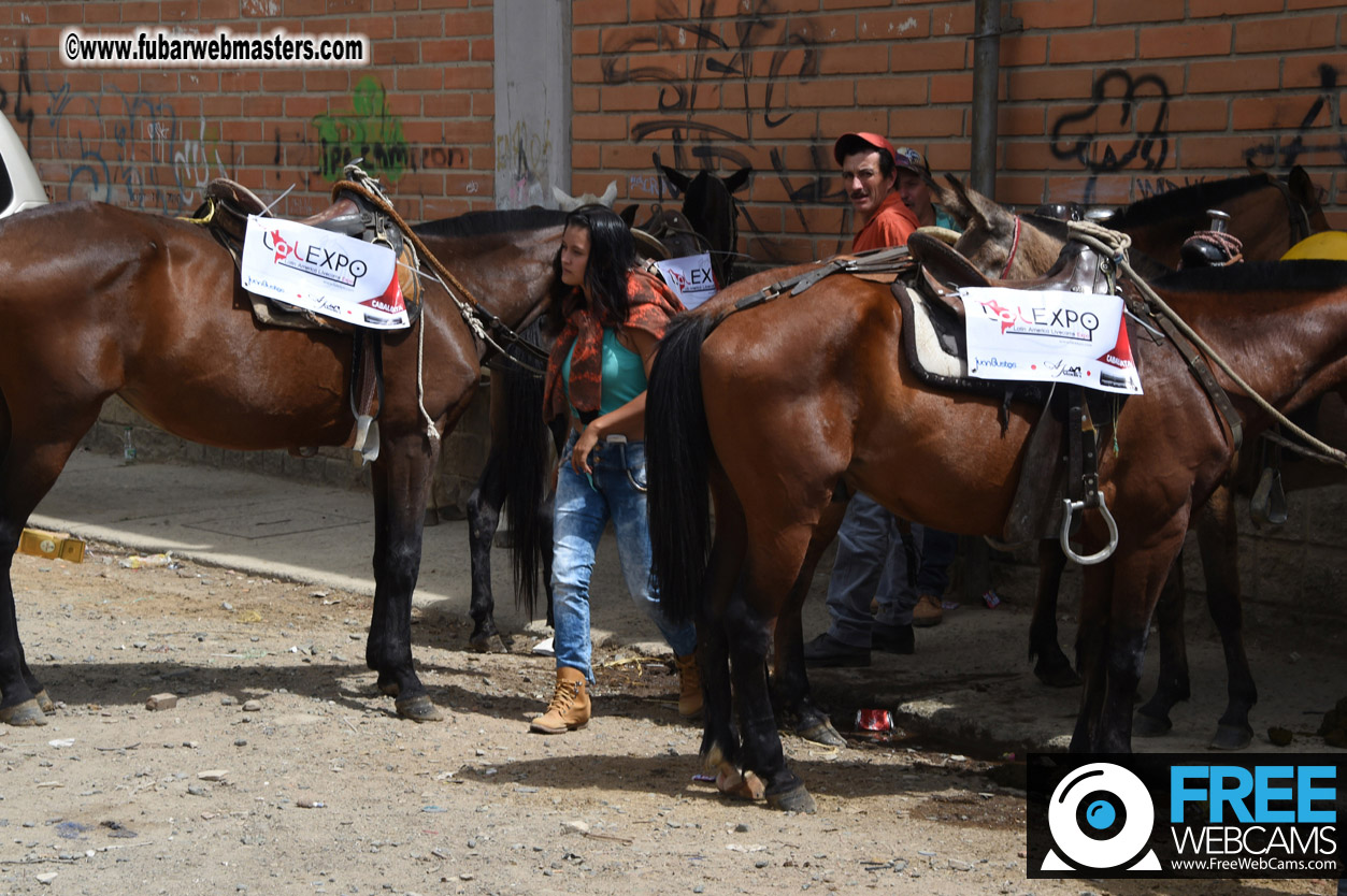 Horseback Riding Colombian style tour