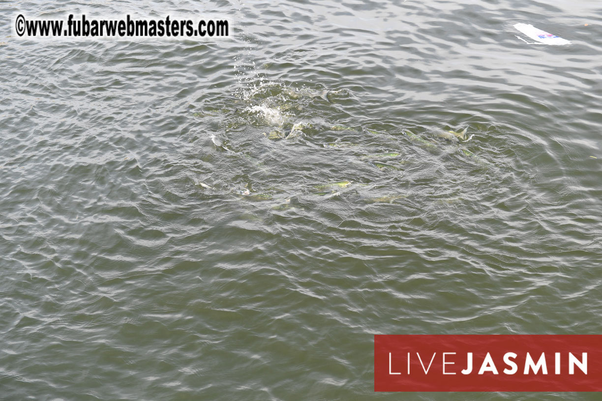 Sunset Catamaran Cruise