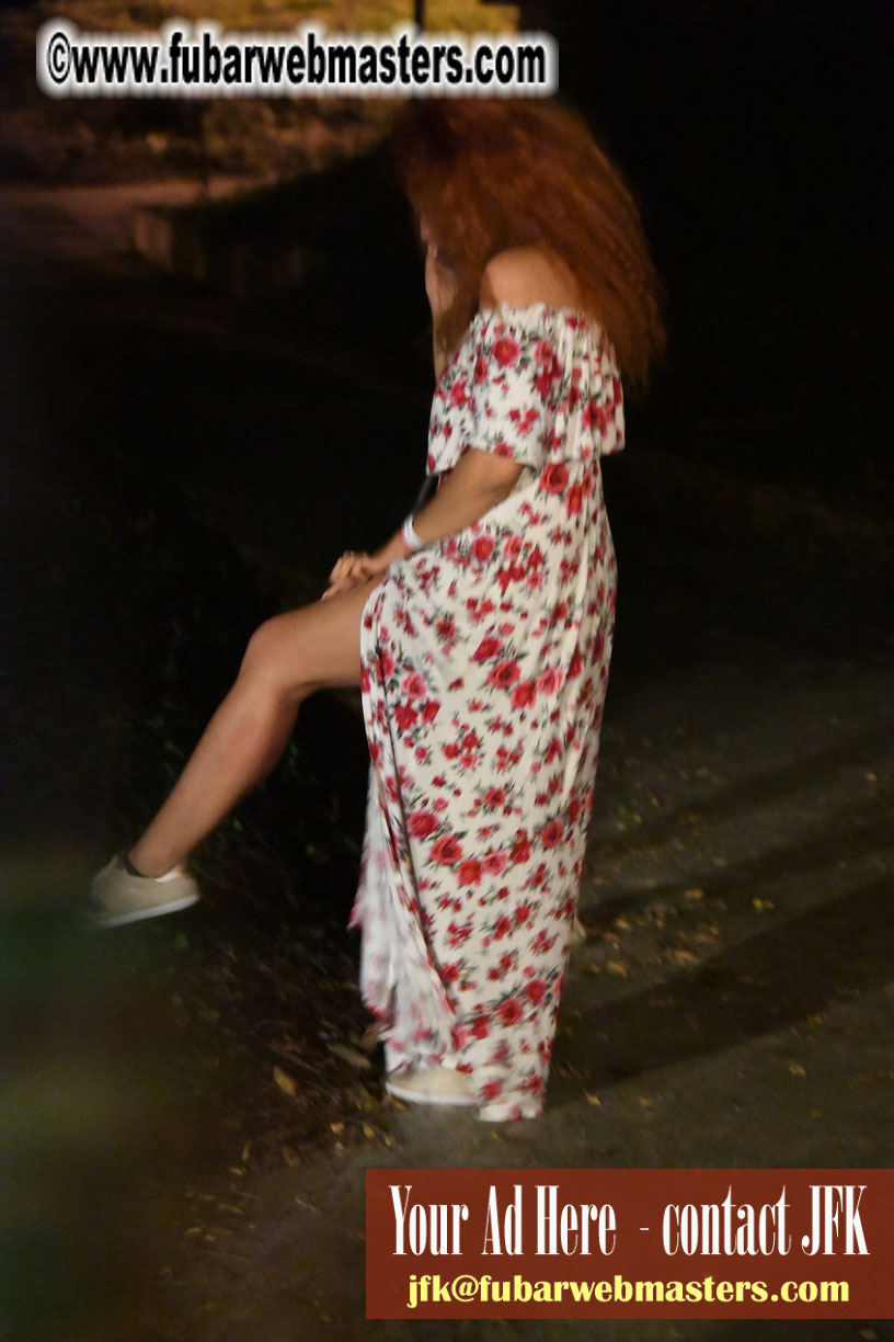 Opening Party