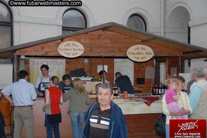 Sopron Wine Festival and Party