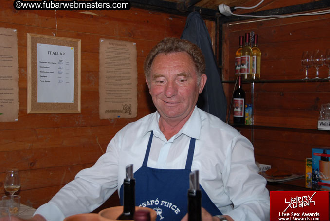 Sopron Wine Festival and Party