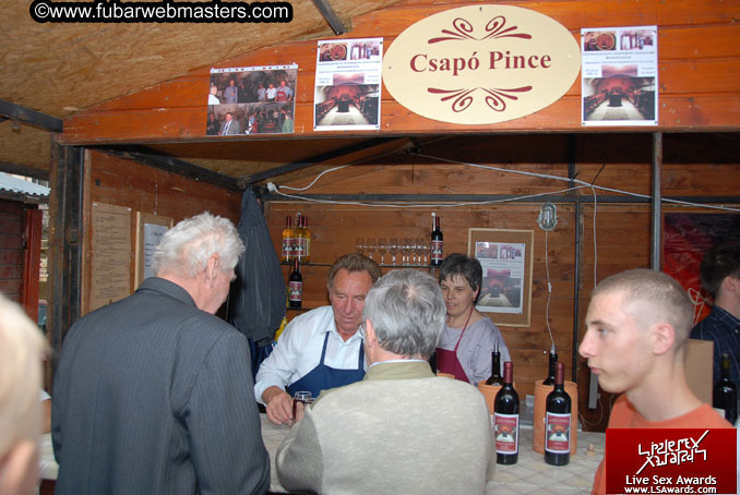 Sopron Wine Festival and Party