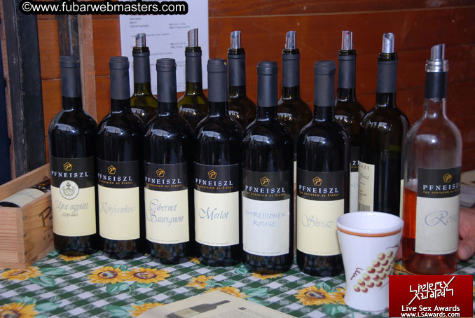 Sopron Wine Festival and Party