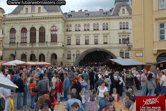 Sopron Wine Festival and Party