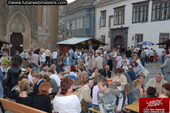 Sopron Wine Festival and Party