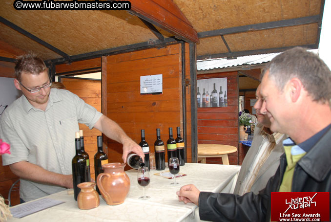 Sopron Wine Festival and Party