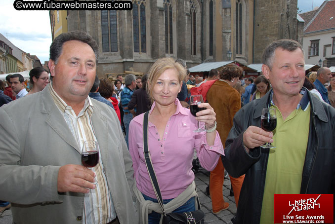 Sopron Wine Festival and Party