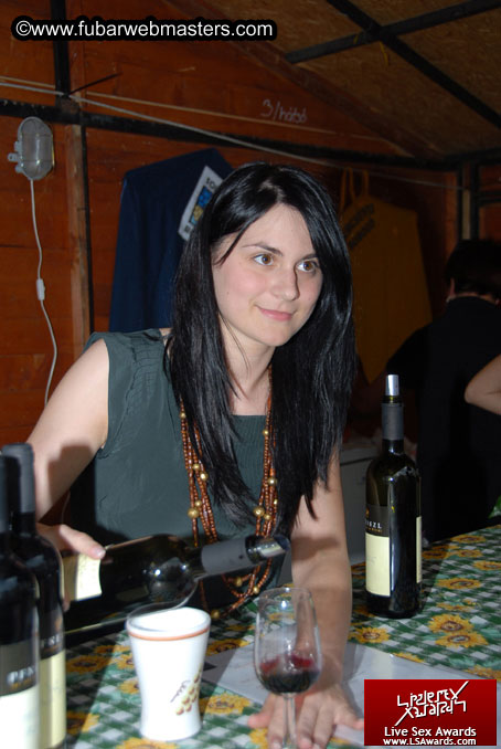Sopron Wine Festival and Party