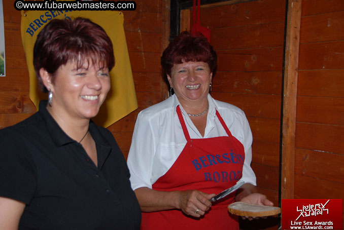 Sopron Wine Festival and Party