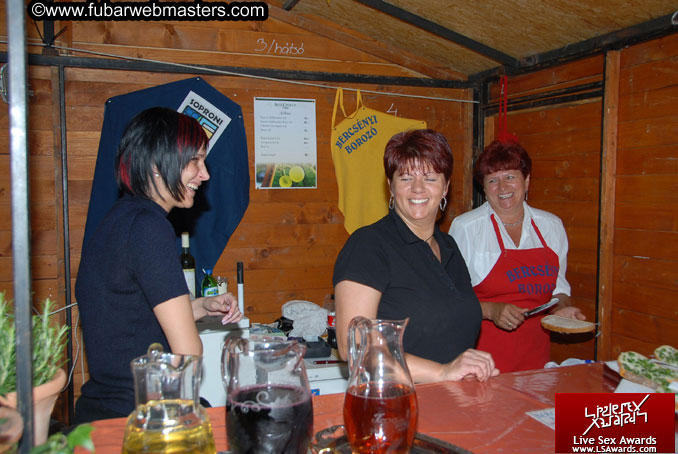 Sopron Wine Festival and Party