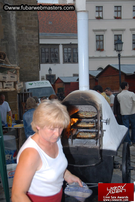 Sopron Wine Festival and Party