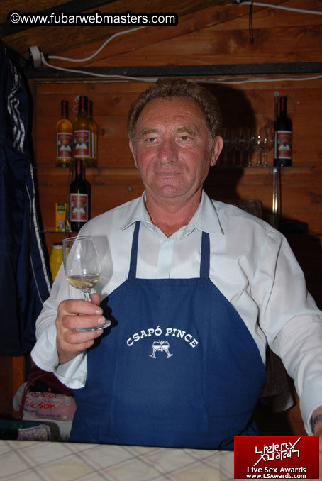 Sopron Wine Festival and Party