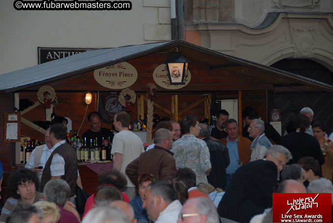 Sopron Wine Festival and Party