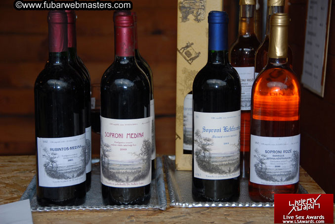 Sopron Wine Festival and Party