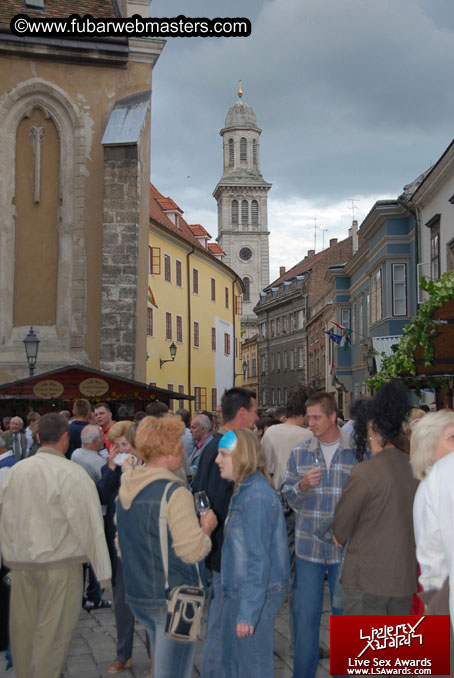 Sopron Wine Festival and Party