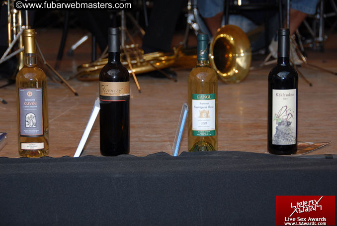 Sopron Wine Festival and Party