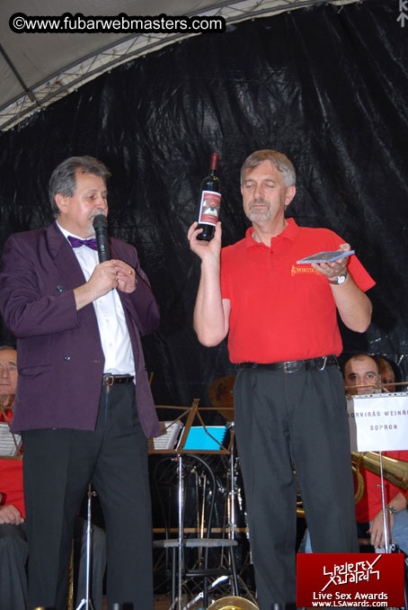 Sopron Wine Festival and Party