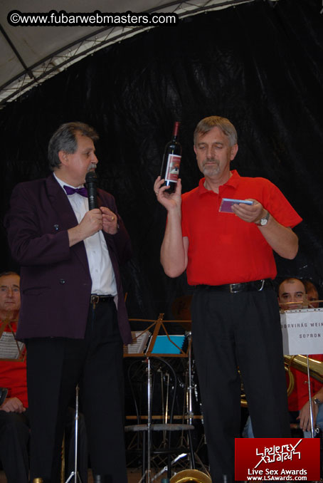 Sopron Wine Festival and Party