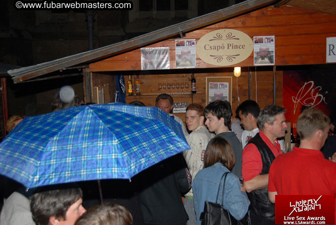 Sopron Wine Festival and Party