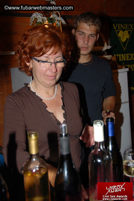 Sopron Wine Festival and Party