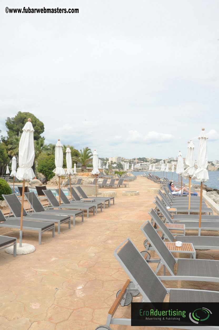 Arrivals, Registration and the Show