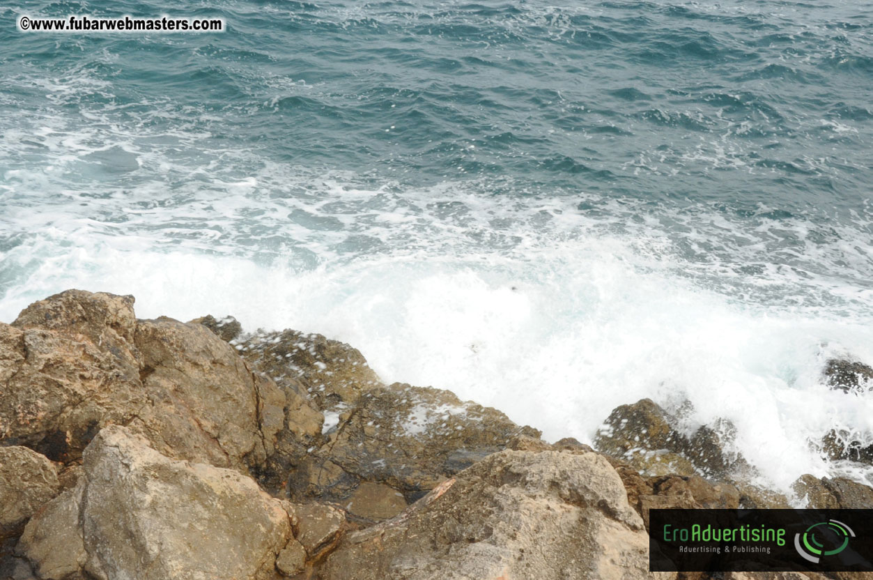 Arrivals, Registration and the Show