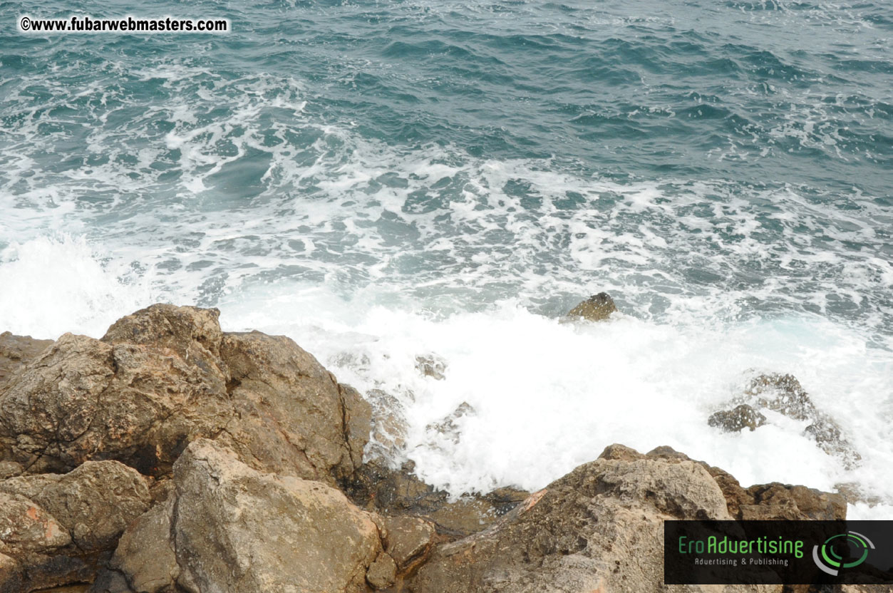 Arrivals, Registration and the Show