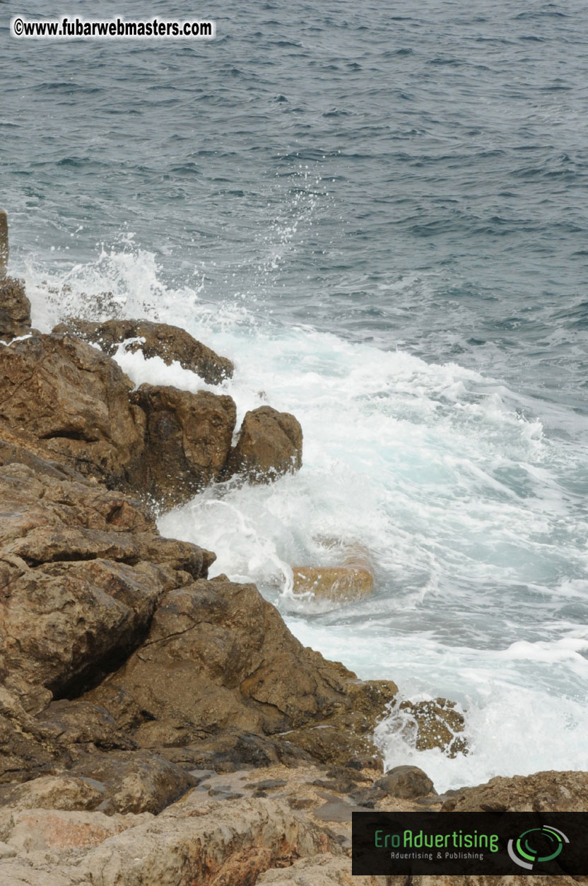 Arrivals, Registration and the Show