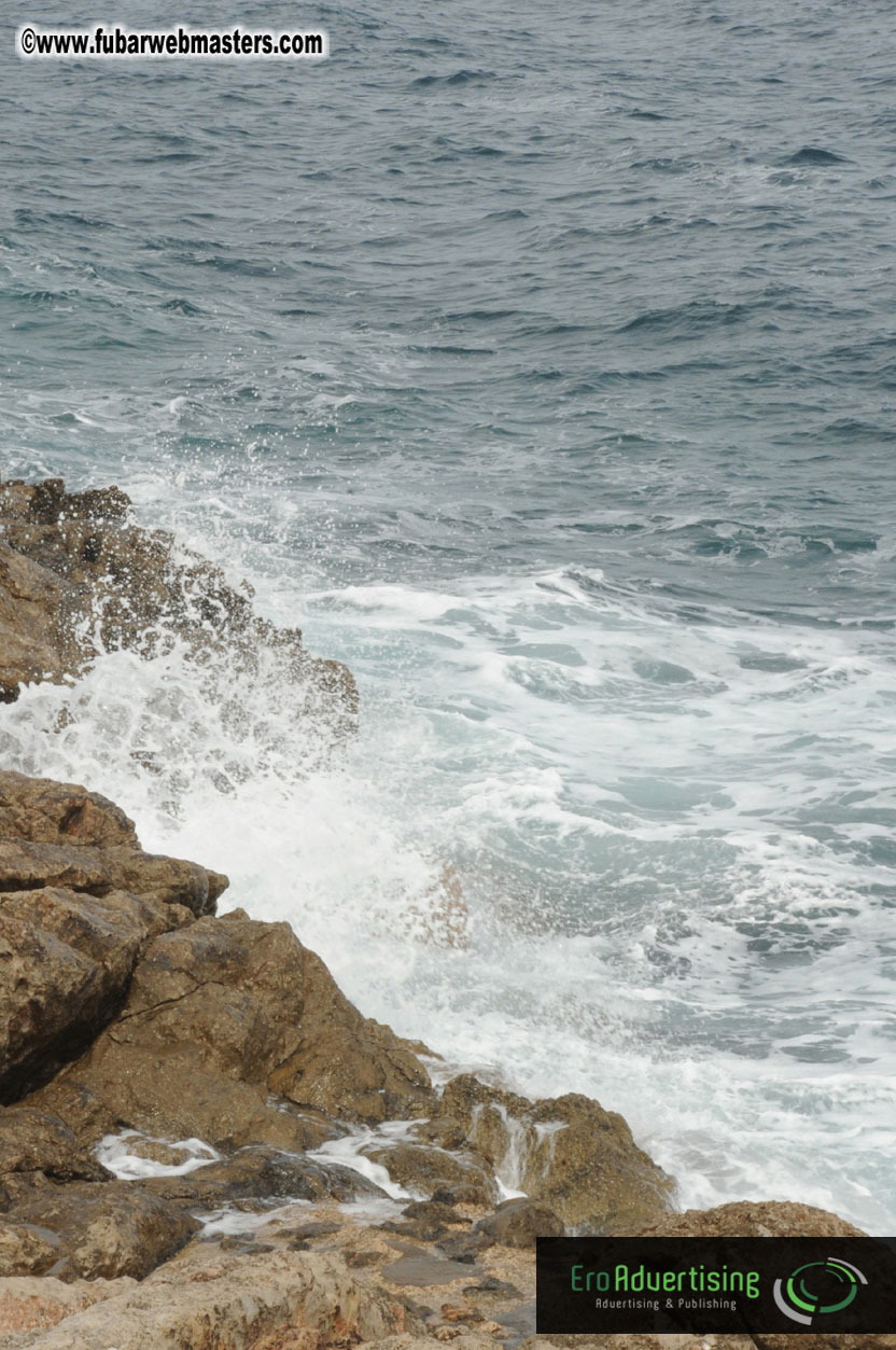 Arrivals, Registration and the Show