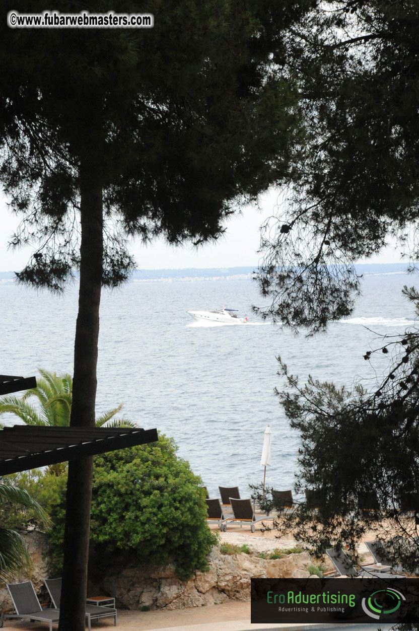 Arrivals, Registration and the Show