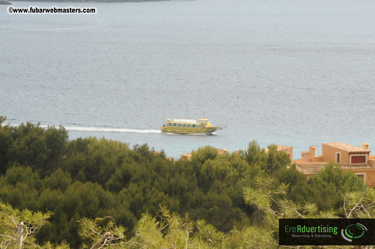 MOMO Afternoon Webmaster Party & BBQ